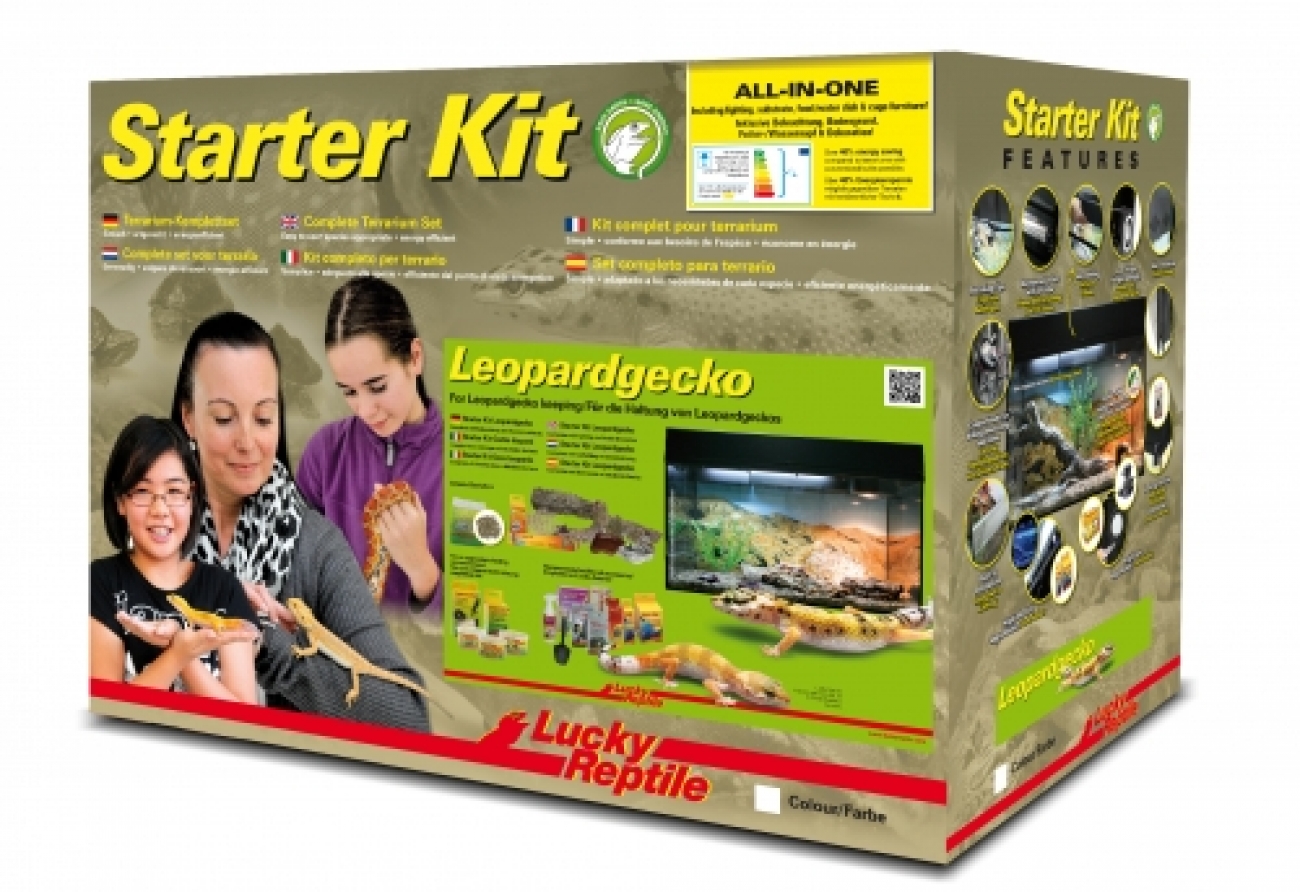 Starter Kit - Leopardgecko